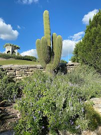 San Antonio Botanical Garden photo 4
