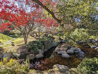 San Antonio Botanical Garden photo 5