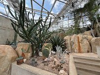 San Antonio Botanical Garden photo 6