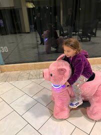 Holly Hill Rides photo 2