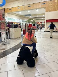Holly Hill Rides photo 3