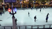 Millennium Park Ice Rink photo 2