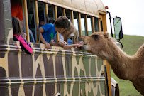 Fort Chiswell Animal Park