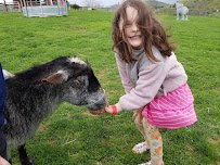 Fort Chiswell Animal Park photo 3