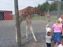 Fort Chiswell Animal Park photo 4
