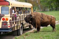 Fort Chiswell Animal Park photo 6