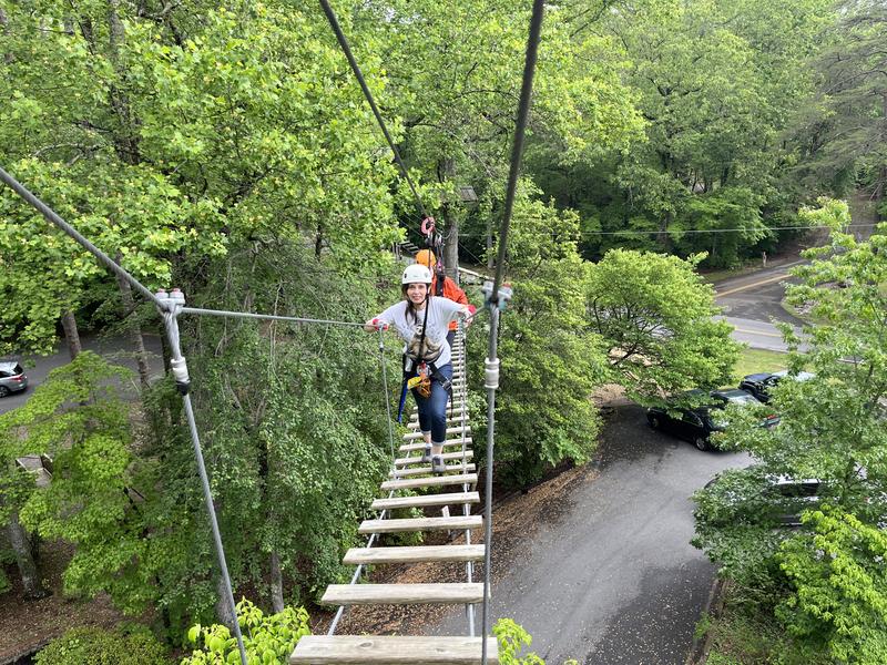 Screaming Eagle Aerial Adventures at DeSoto Falls State Park photo 4
