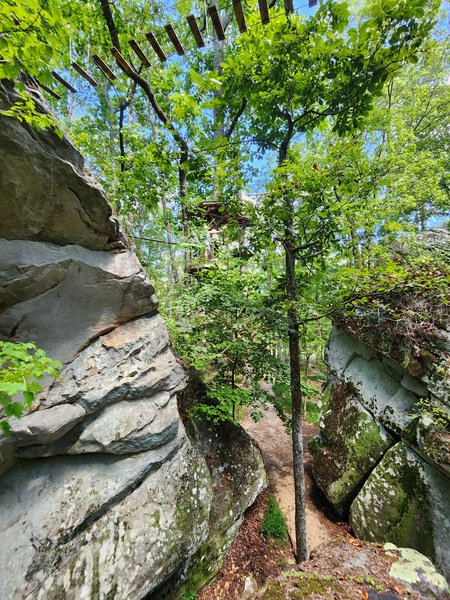 Screaming Eagle Aerial Adventures at DeSoto Falls State Park photo 5