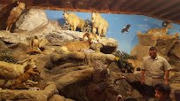 Petaluma Wildlife Museum photo 2