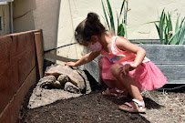 Petaluma Wildlife Museum photo 3