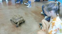 Petaluma Wildlife Museum photo 6