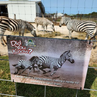 Big Joel's Safari Petting Zoo & Educational Park photo 6