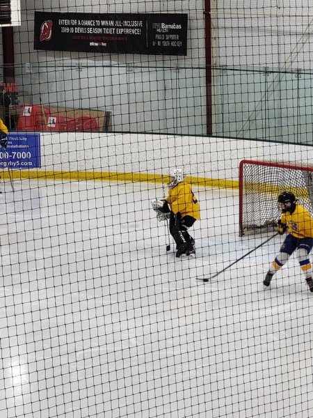 Twin Oaks Ice Rink LLC photo 6