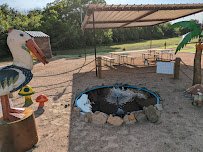 Groovy Golf and More photo 3