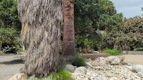 California Botanic Garden photo 2
