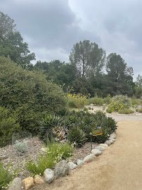 California Botanic Garden photo 4