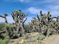California Botanic Garden photo 5