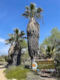 California Botanic Garden photo 6