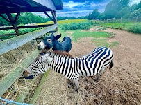 Why Not An American Ark photo 5