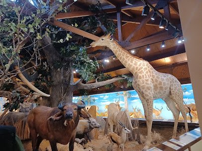Harber Wildlife Museum, shawnee trail