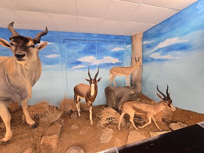 Harber Wildlife Museum, shawnee trail photo 3