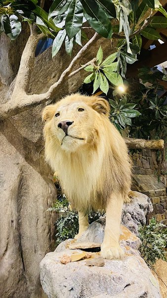 Harber Wildlife Museum, shawnee trail photo 4