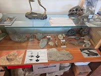 God's World Exploration Station photo 3