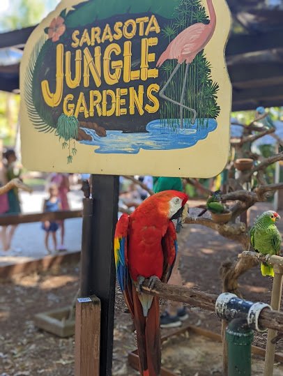 Sarasota Jungle Gardens photo 4