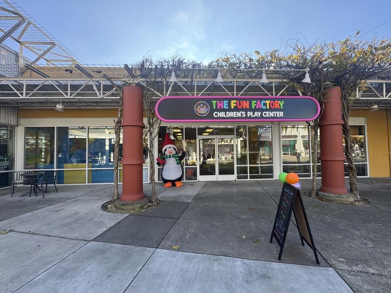 The Fun Factory Children's Play Center photo 3