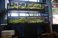 Beital's Aquariums Sales, Services & Ponds