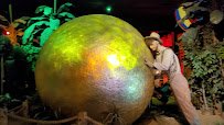 Treasure Quest Miniature Golf photo 2