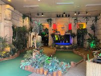 Treasure Quest Miniature Golf photo 3