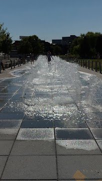 Lake Union Spraypark photo 3
