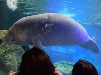 The Dallas World Aquarium photo 4