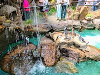 The Dallas World Aquarium photo 5