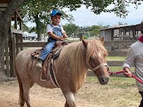 Old MacDonald's Farm photo 4