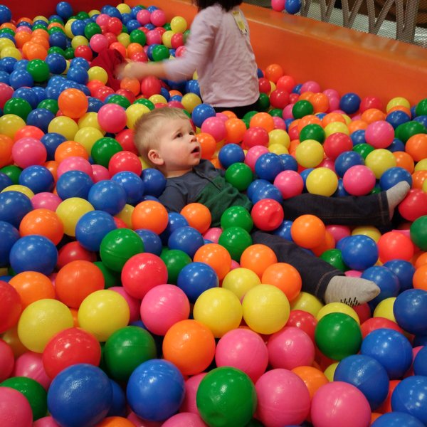 JellyBean Jungle