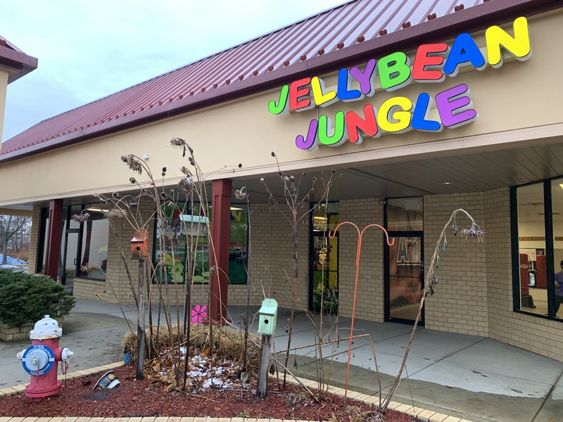 JellyBean Jungle photo 4