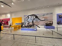 New Jersey State Museum photo 5