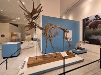 New Jersey State Museum photo 6