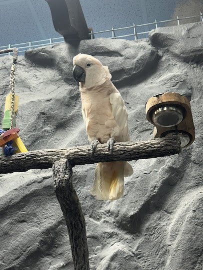 Andalusia Animal Adventures photo 3