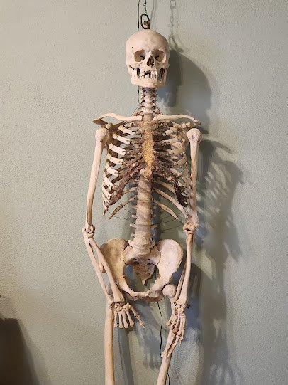 Holmes Medical Museum photo 4