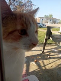 Franklin Splash Park photo 2