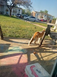 Franklin Splash Park photo 4