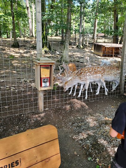 Pymatuning Deer Park photo 4