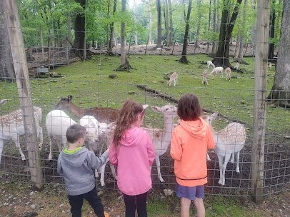 Pymatuning Deer Park photo 6