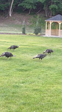 Museum of North Idaho photo 2