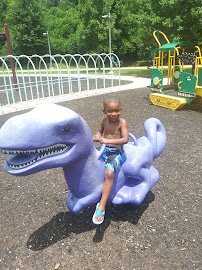 D.H. Stanton Sprayground photo 3