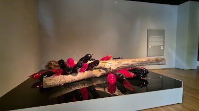 Oklahoma City Museum of Art photo 2