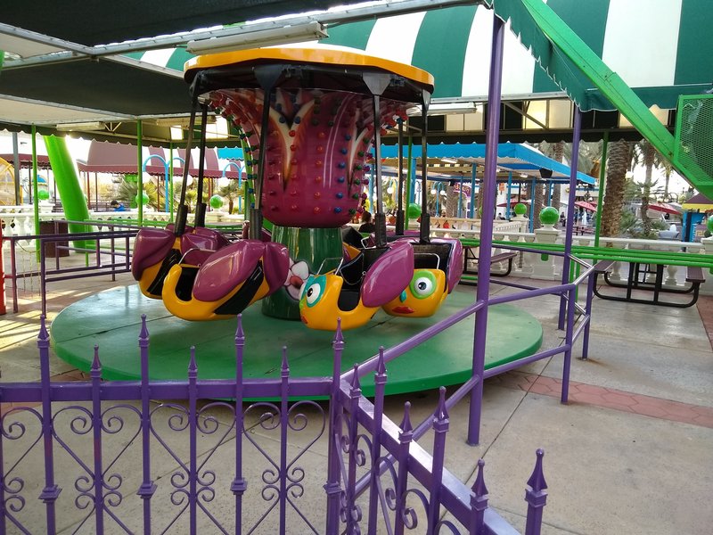 Castles N' Coasters photo 6